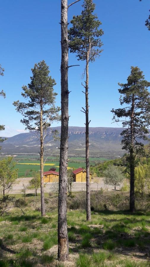Albergue Restaurante De Artieda Zewnętrze zdjęcie